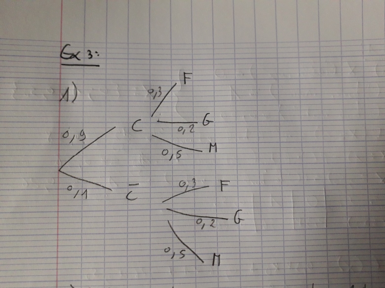 DM maths variables al�atoires
