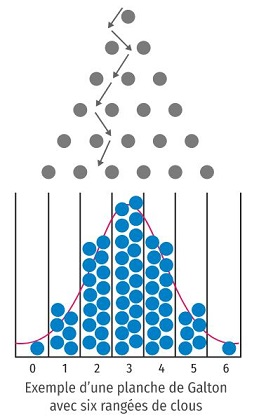 planche de Galton et loi de Bernoulli 