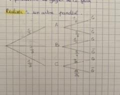 Probabilit�s conditionnelles 