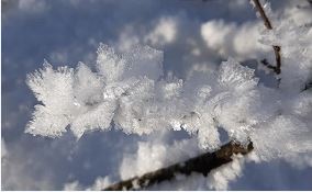 Bon anniversaire Larrech