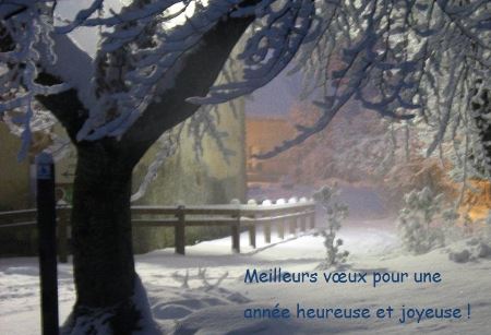 Bonne ann�e � tous 