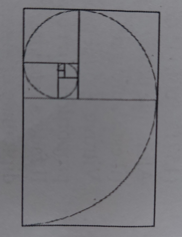 spirale d\'or