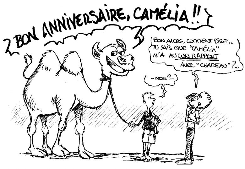 Anniversaire Camelia