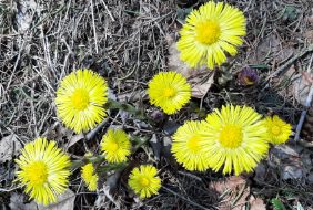 Joyeux anniversaire carpediem