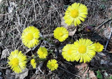 Bon anniversaire elhor_abdelali 