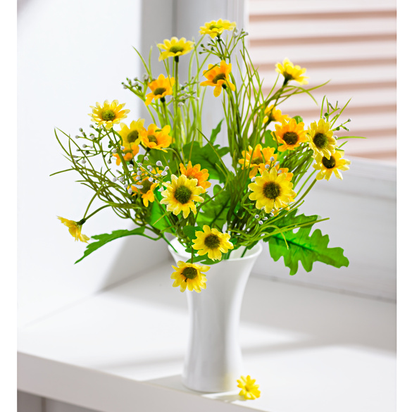 Bon anniversaire Camelia